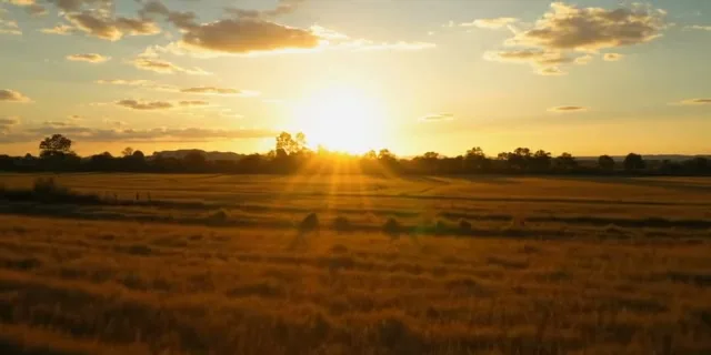 Provérbios 10:12 — O Amor Cobre Todas as Faltas
