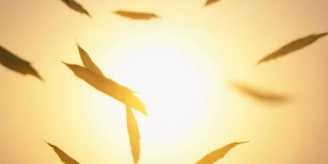 Oração de Renovação — Deus Faz Tudo Novo em Você - Imagem 5