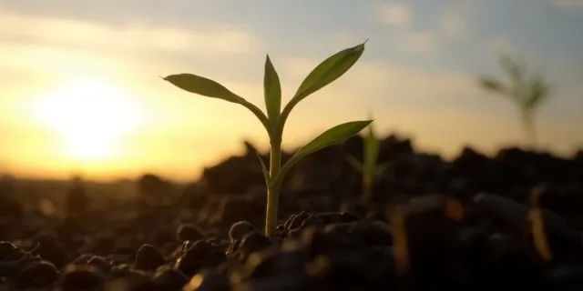 Deus Faz Tudo Novo — Apocalipse 21:5 - Imagem 4