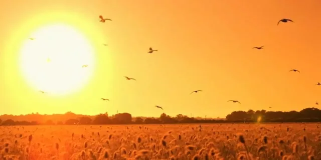 Oração de Gratidão pelo Novo Dia — Começando com Deus - Imagem 4