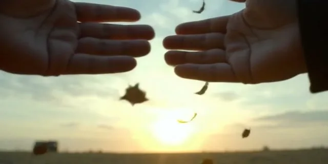 Provérbios 19:21 — Muitos São os Planos do Homem, Mas o Propósito de Deus Prevalece - Conclusão