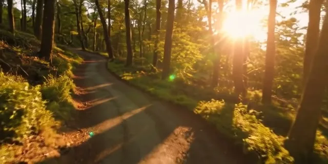 Provérbios 3:5-6 — Confie no Senhor de Todo o Seu Coração - Imagem 2
