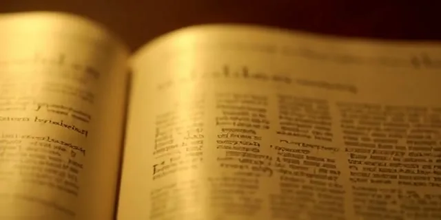 Provérbios 3:5-6 — Confie no Senhor de Todo o Seu Coração - Imagem 1